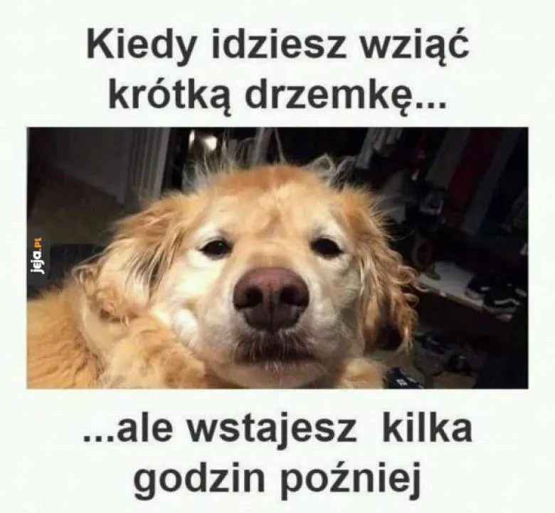 Zdjęcie 30