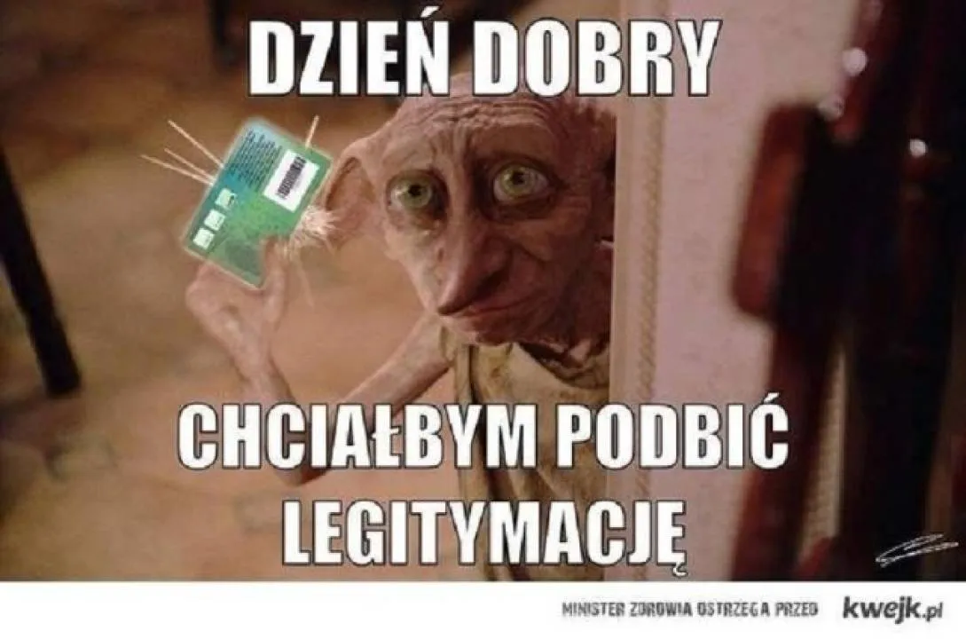 Zdjęcie 9