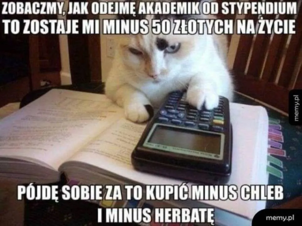 Zdjęcie 23