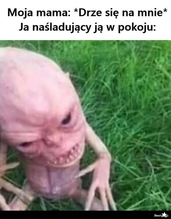 Zdjęcie 9