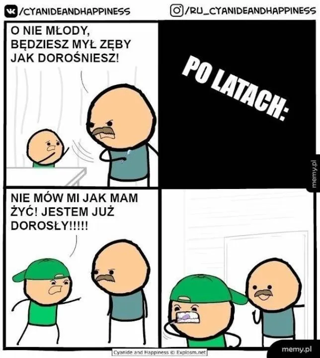 Zdjęcie 8