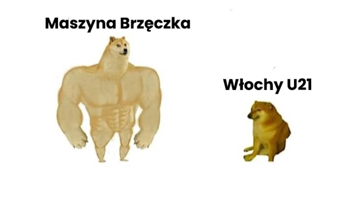 Zdjęcie 5