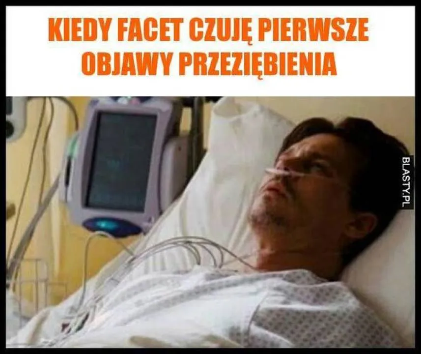 Zdjęcie 11