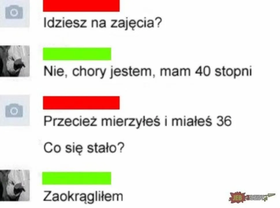 Zdjęcie 33