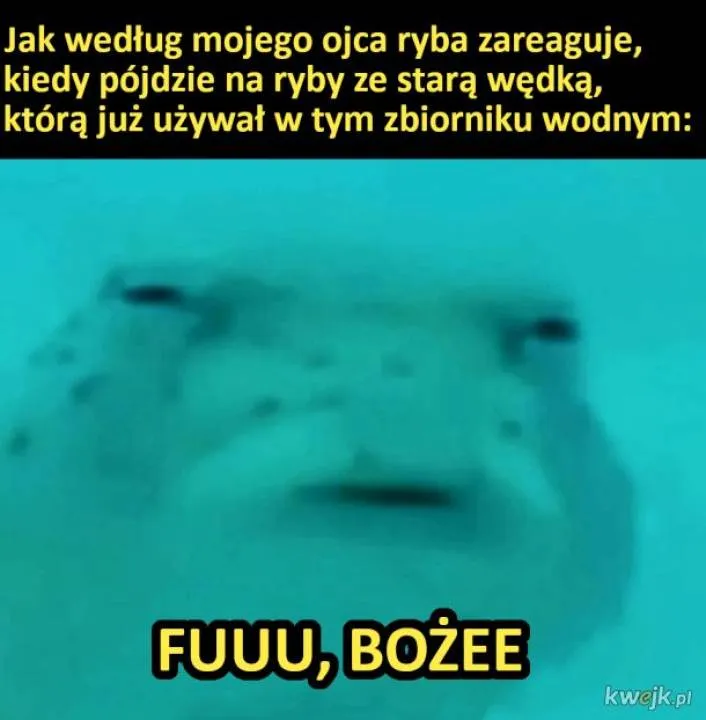 Zdjęcie 7
