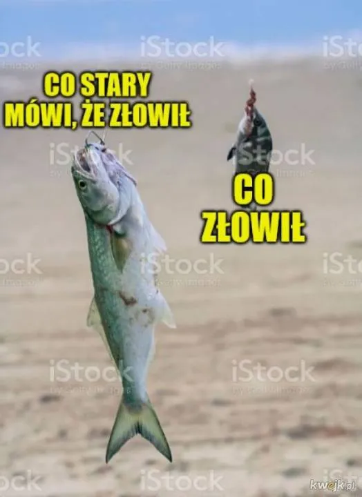 Zdjęcie 4