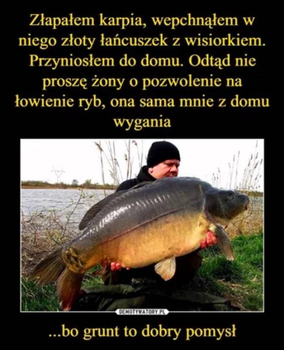 Zdjęcie 5
