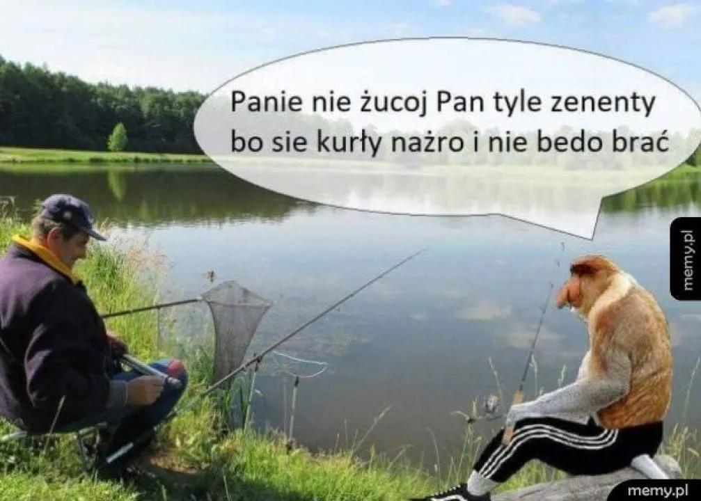 Zdjęcie 10
