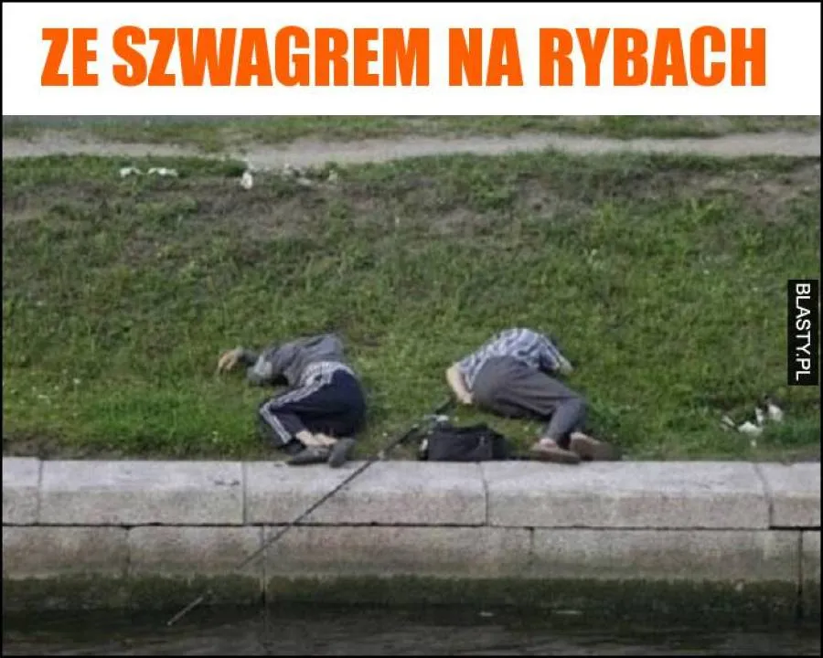 Zdjęcie 21