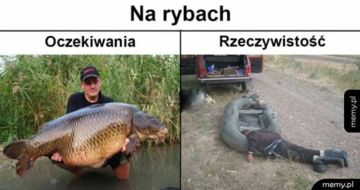 Zdjęcie 1
