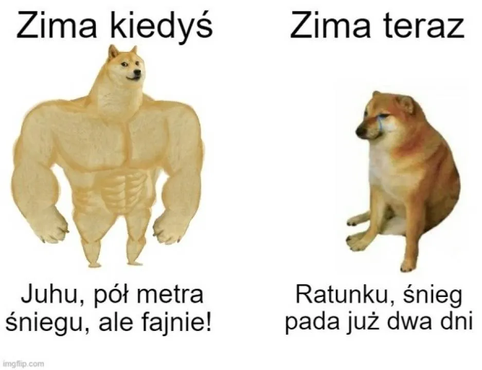 Zdjęcie 29