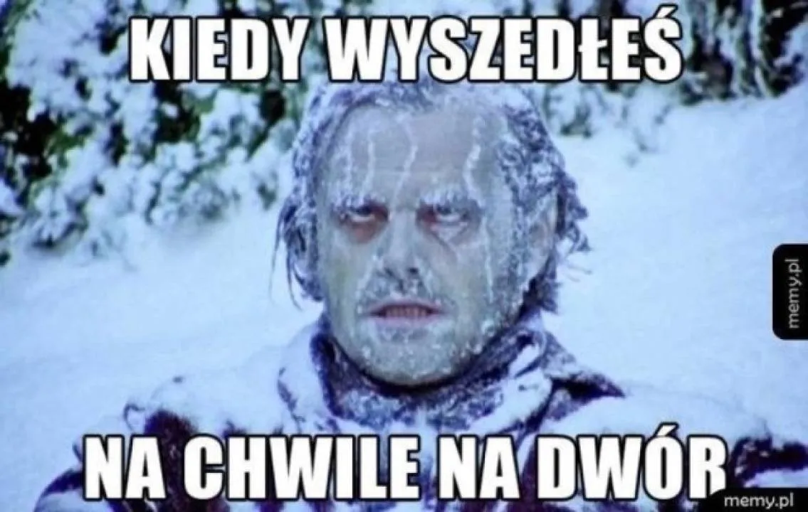 Zdjęcie 8