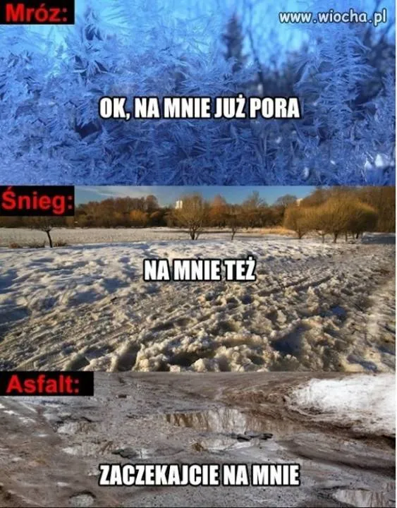 Zdjęcie 1