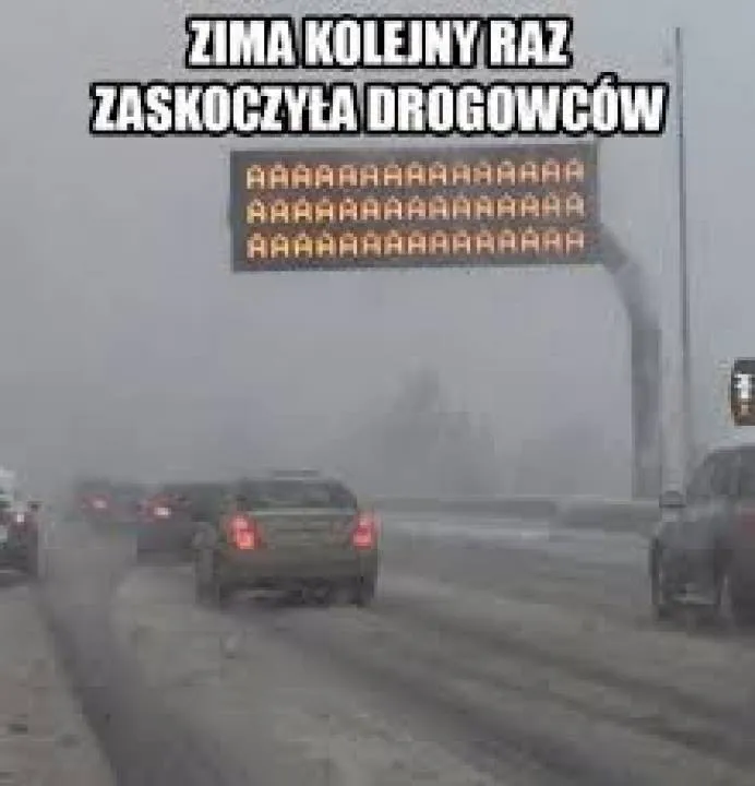 Zdjęcie 30