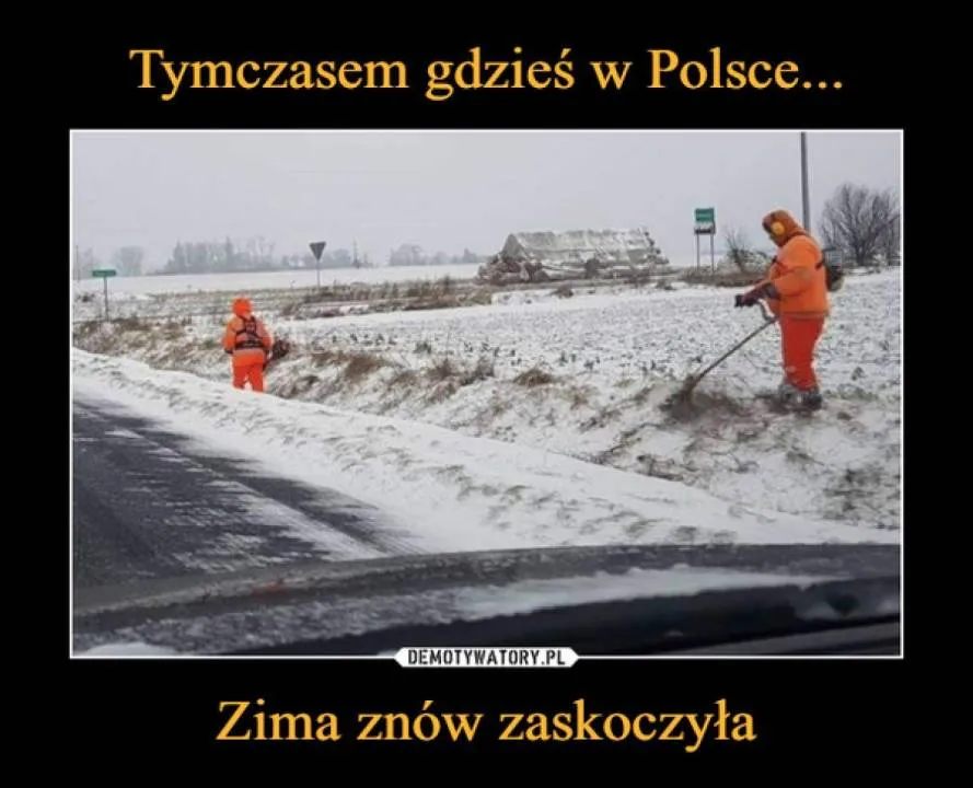 Zdjęcie 9