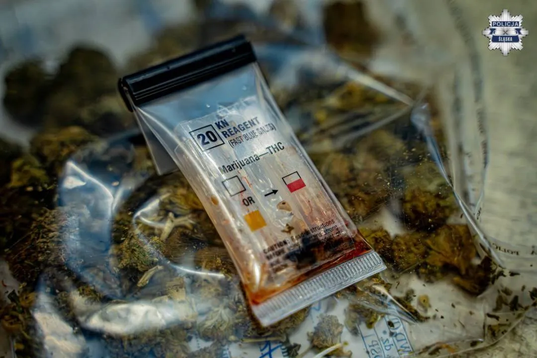 Kolejne uderzenie w międzynarodowy gang