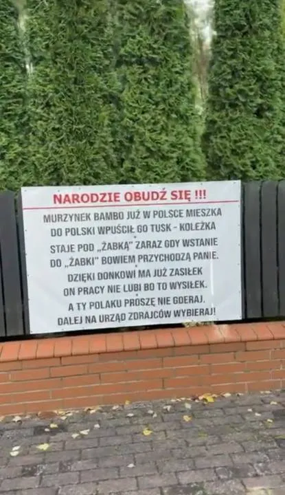 Zdjęcie 12