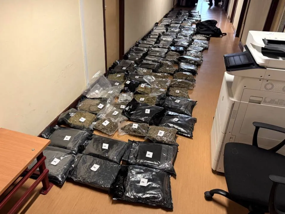 Narkotyki warte 10 mln zł zatrzymane. Prawie 150 kg środków odurzających nie trafi na rynek