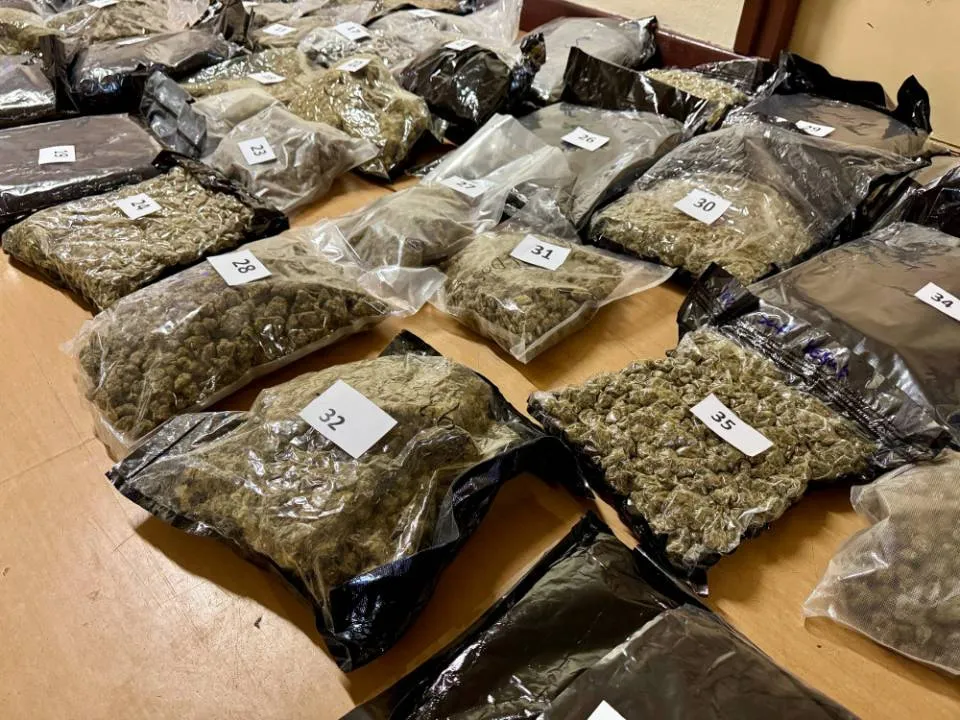 Narkotyki warte 10 mln zł zatrzymane. Prawie 150 kg środków odurzających nie trafi na rynek
