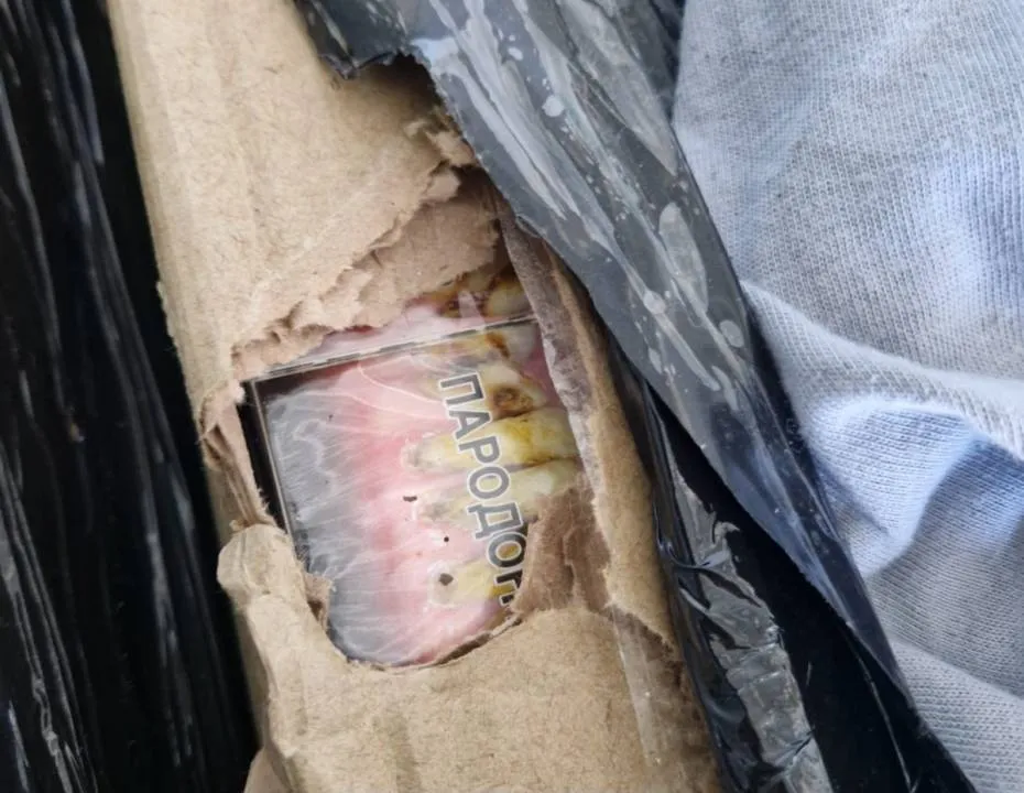 Przemyt był stałym źródłem dochodu zatrzymanych