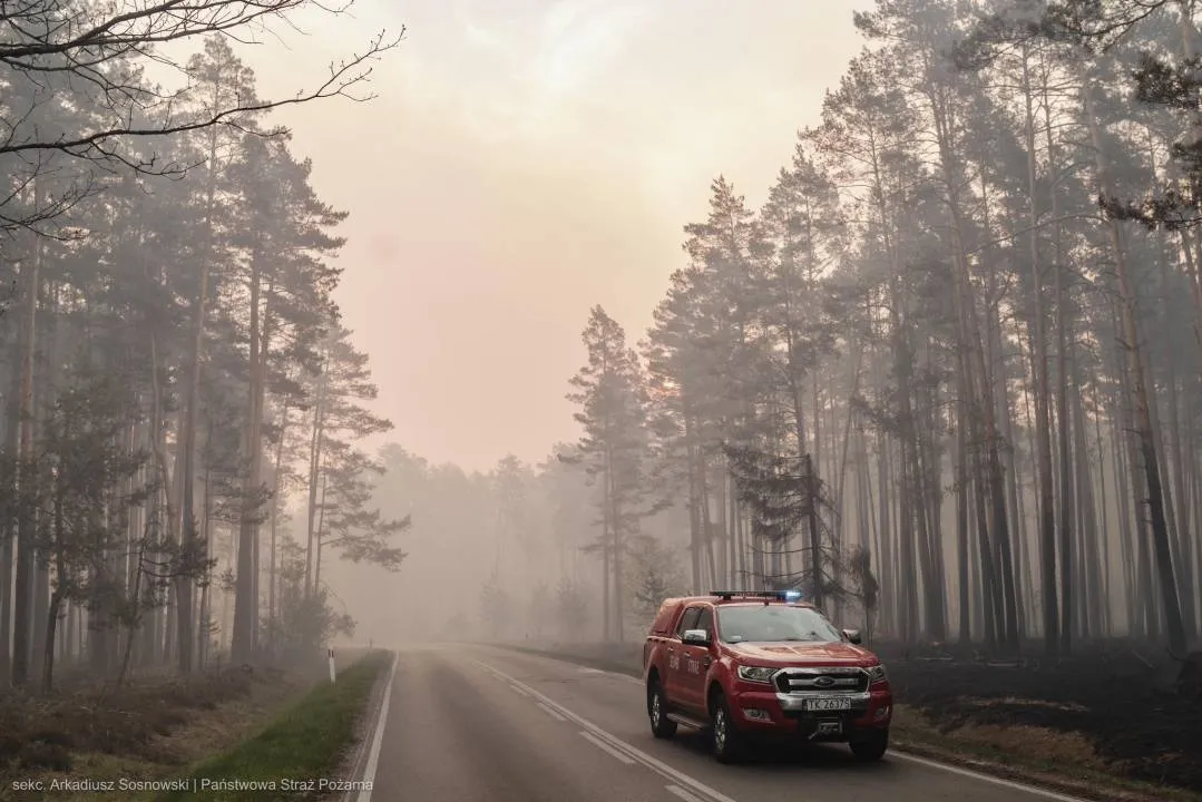 Trwa gaszenie pożaru w Puszczy Solskiej