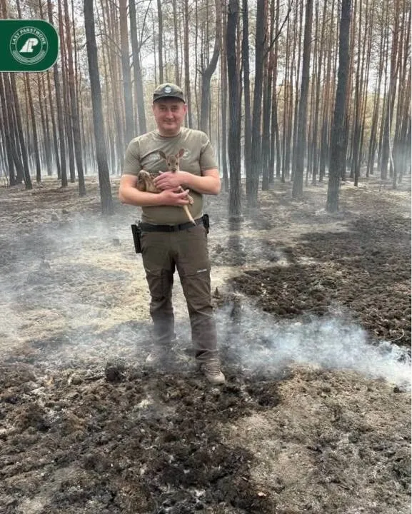 Zdjęcie 6