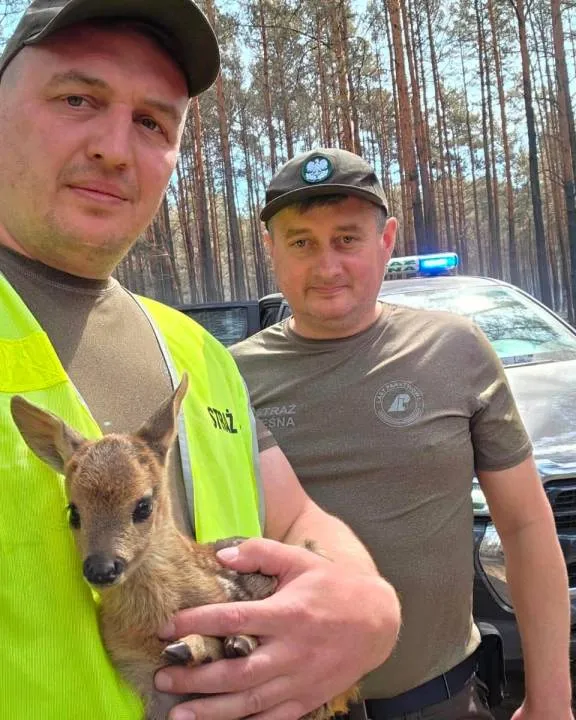 Zdjęcie 7