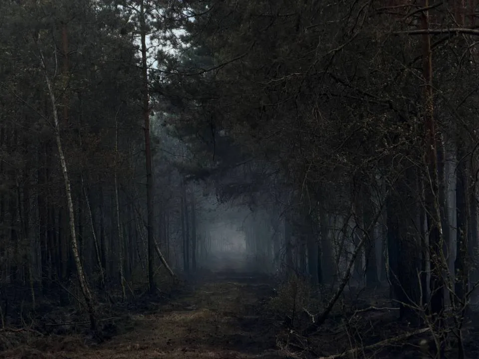 Zdjęcie 14
