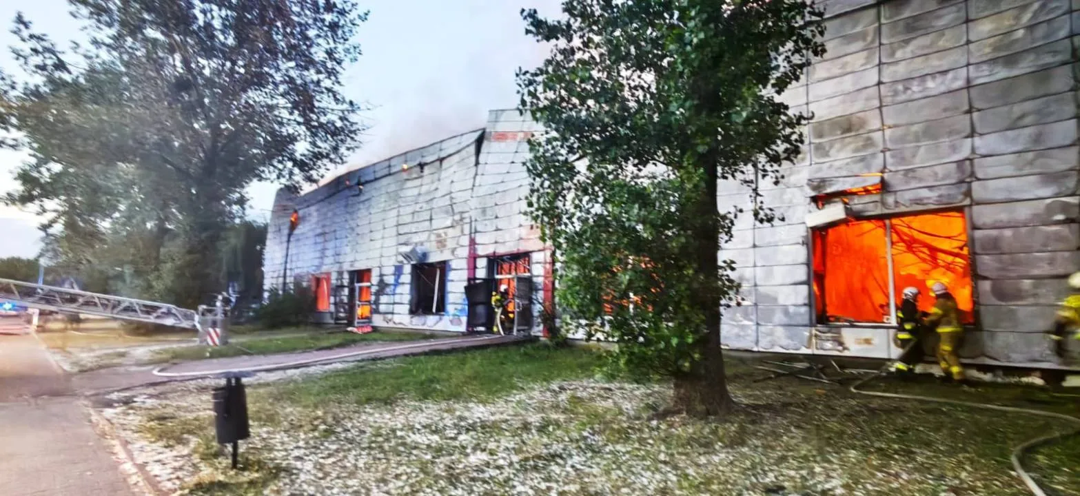Zdjęcie 7