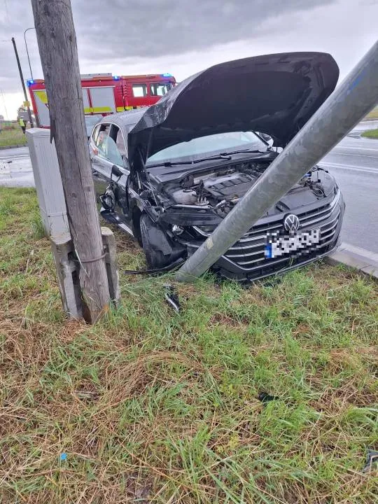 Zdjęcie 6