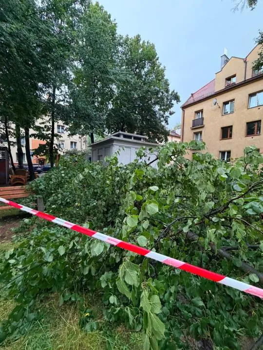 Zdjęcie 2