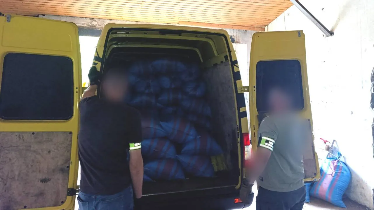 Zdjęcie 2