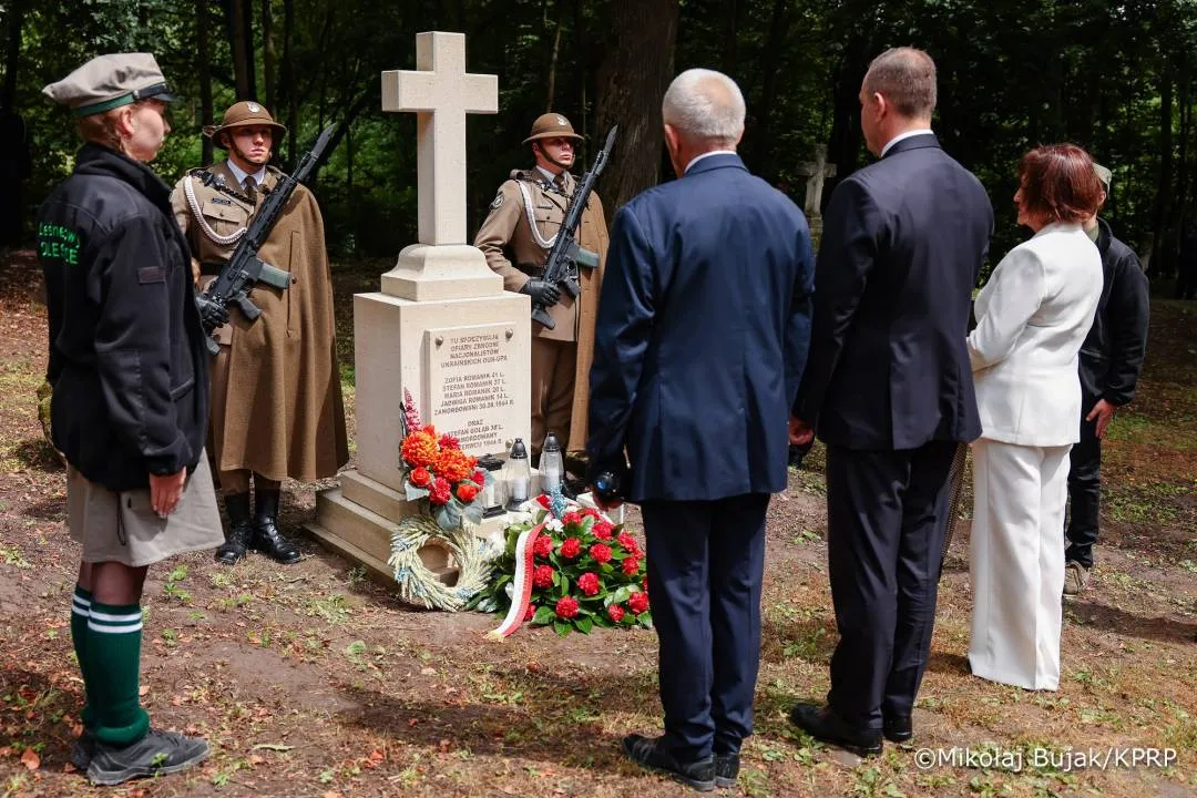 Zdjęcie 15