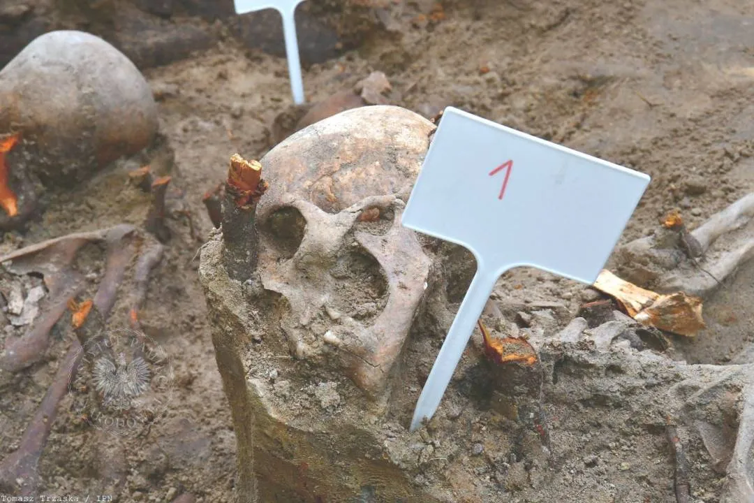 Zdjęcie 14