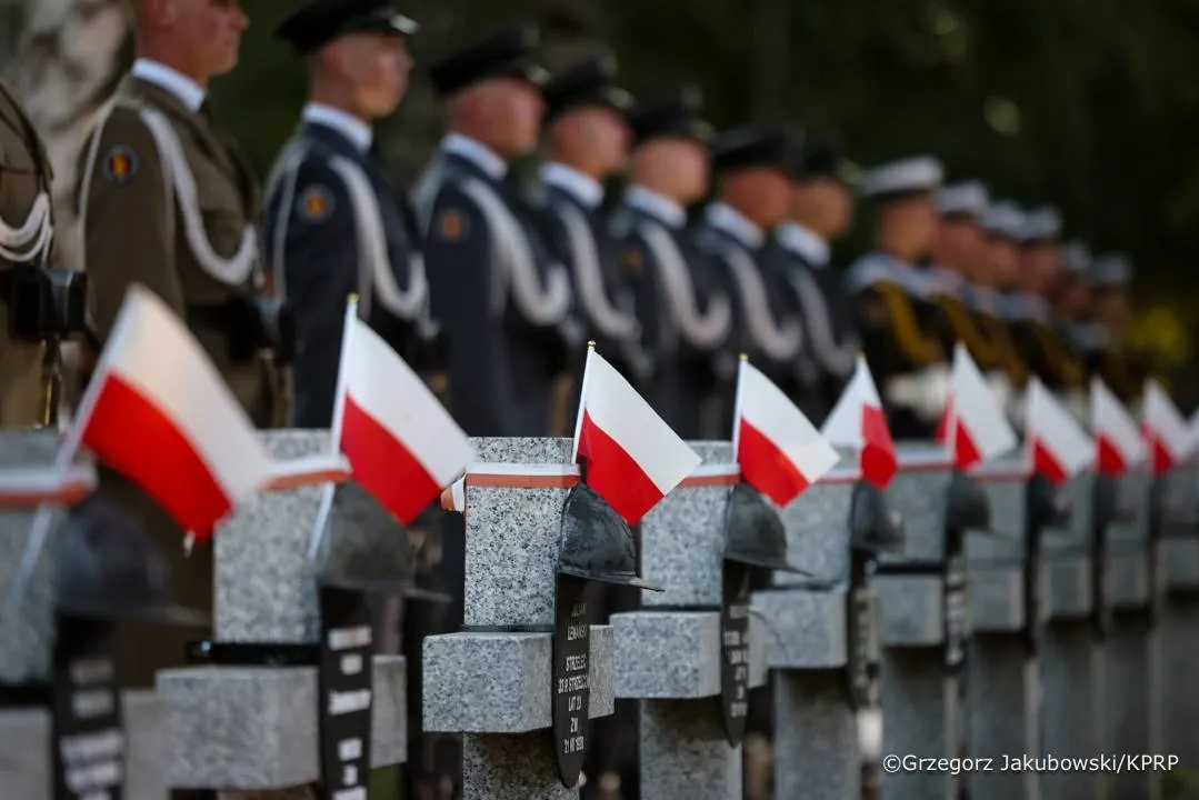 Zdjęcie 11