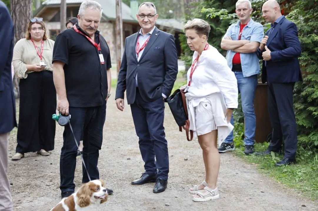 Zdjęcie 10