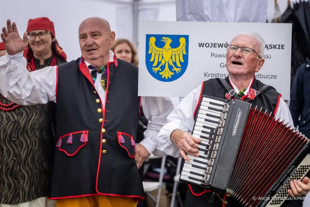 Zdjęcie 15