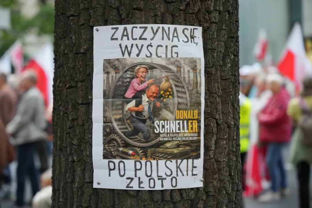 Zdjęcie 15