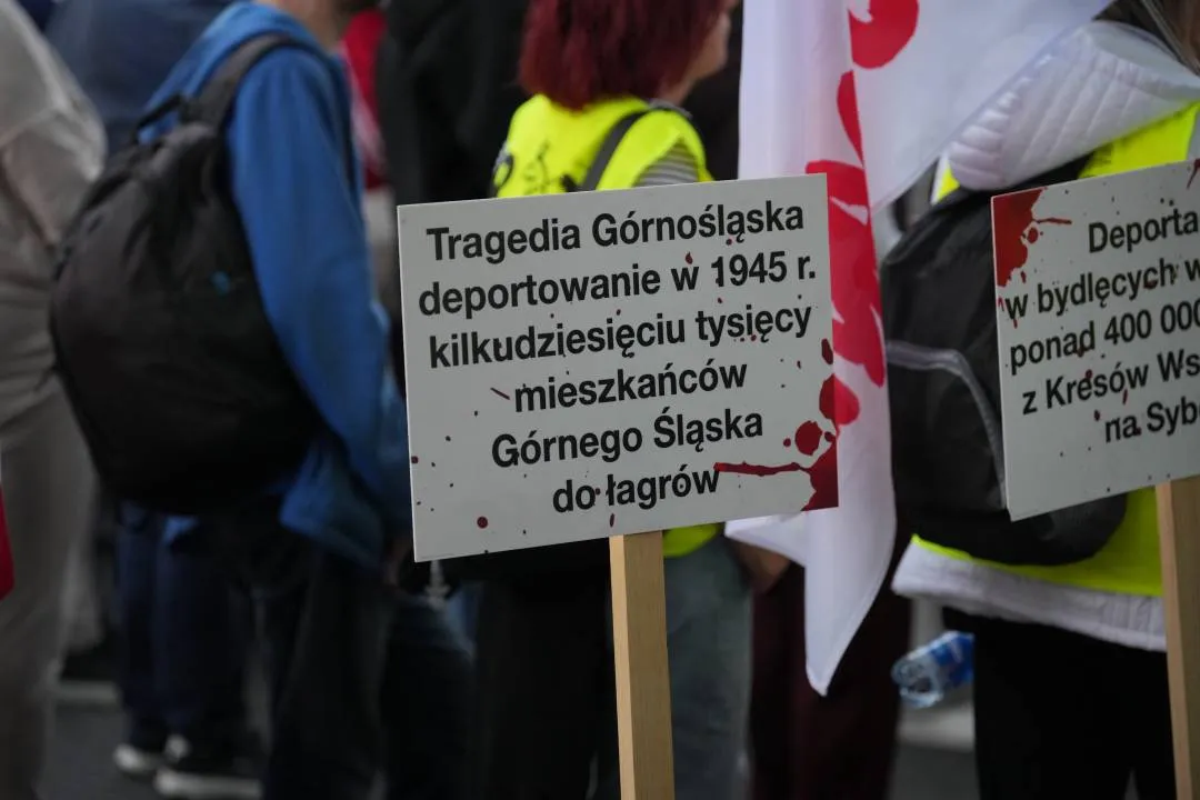 Zdjęcie 8