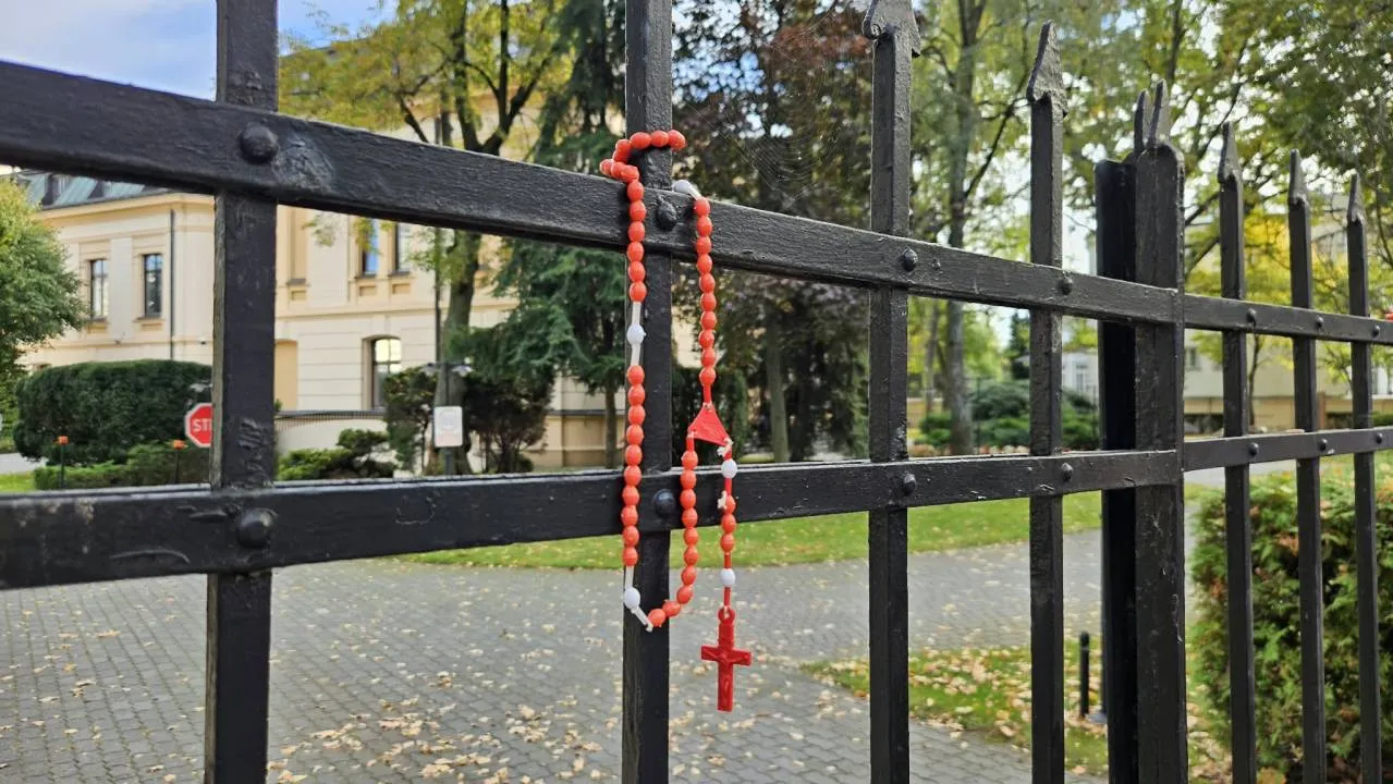 Zdjęcie 6