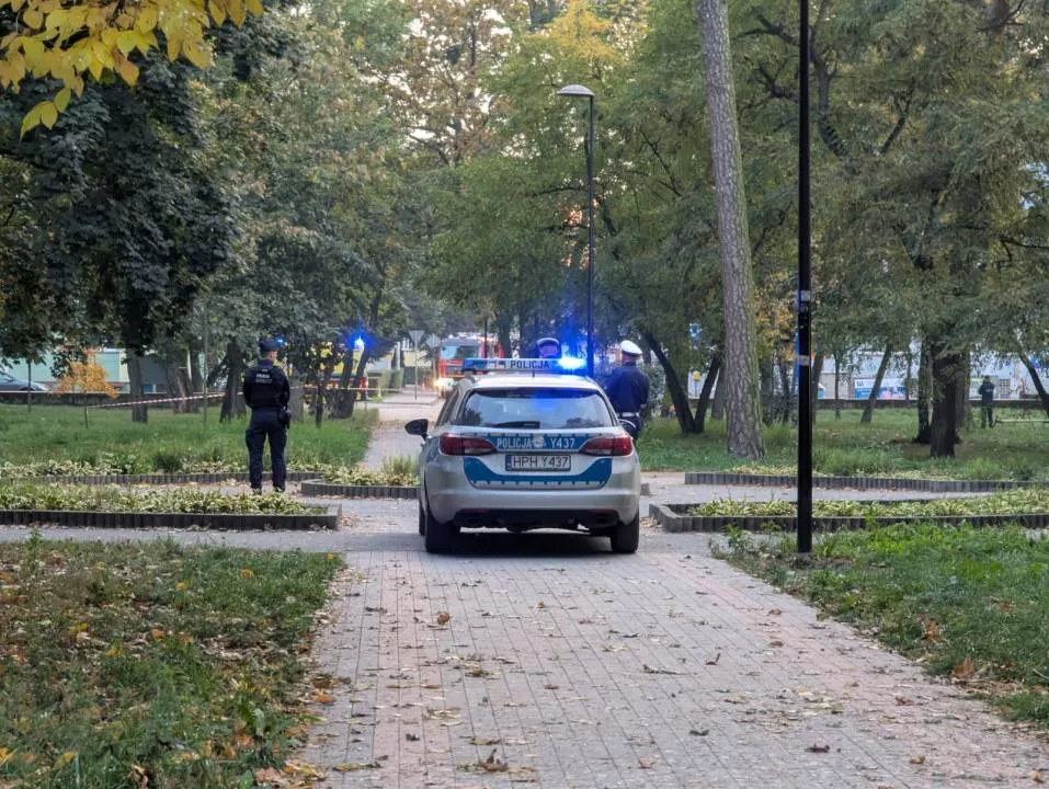 Zdjęcie 11