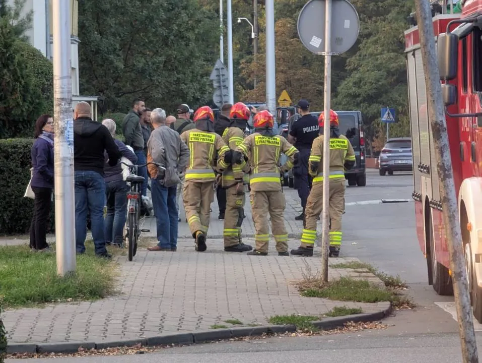 Zdjęcie 5