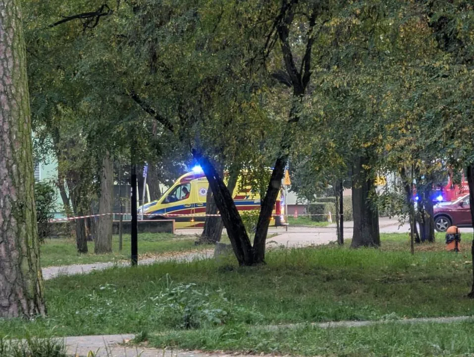 Zdjęcie 9