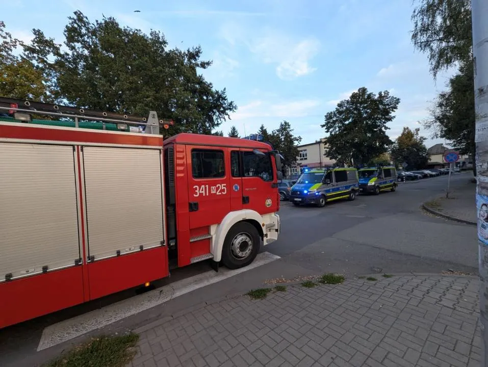 Zdjęcie 3
