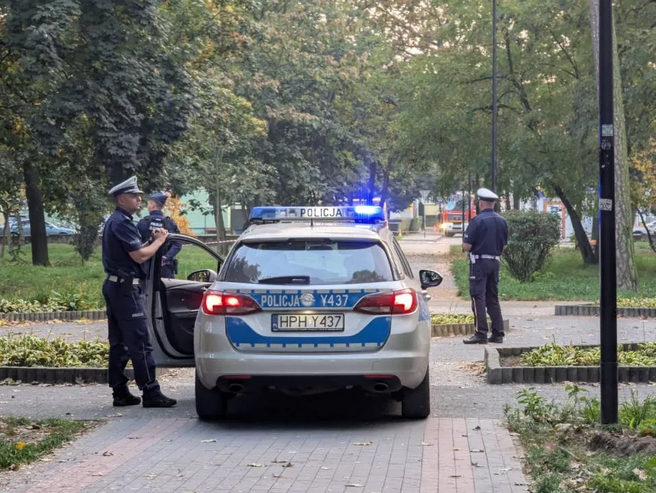 Zdjęcie 7