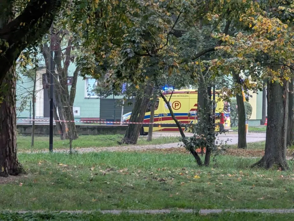 Zdjęcie 8