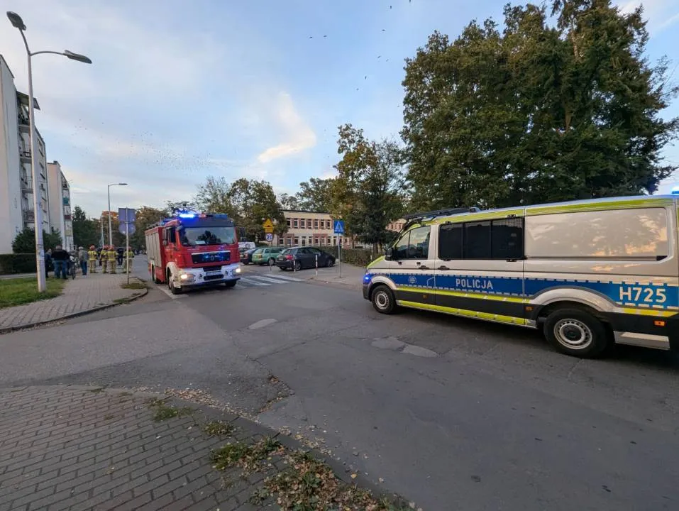 Zdjęcie 4
