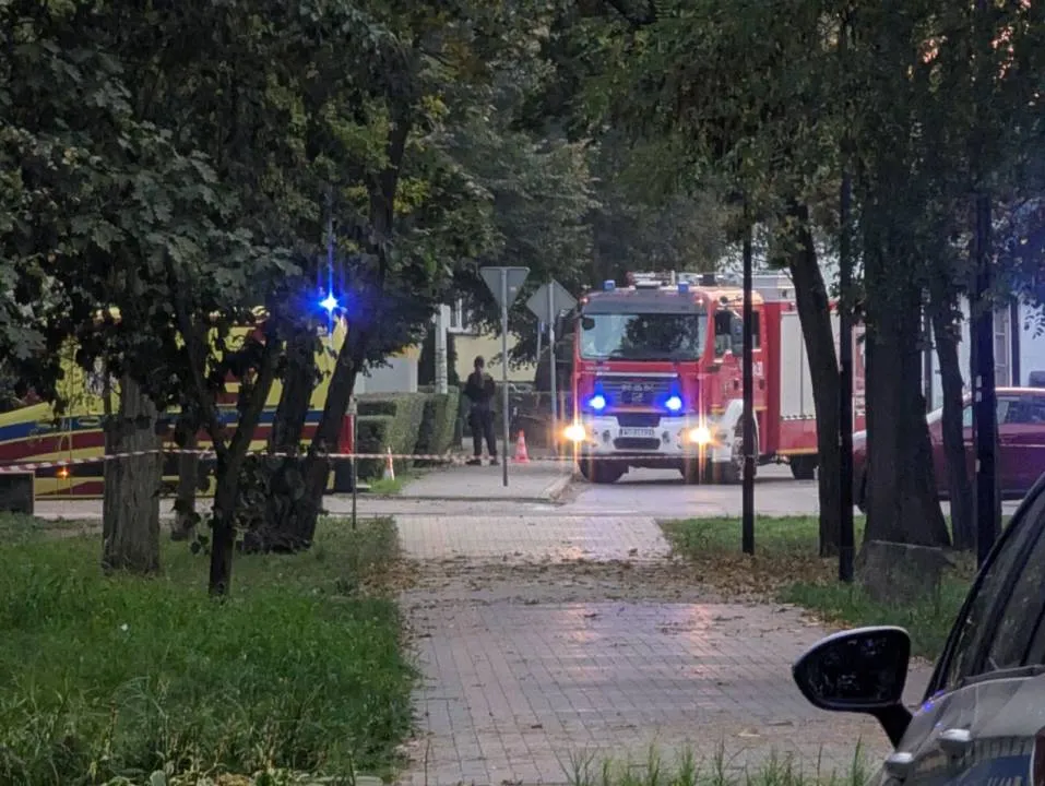Zdjęcie 10