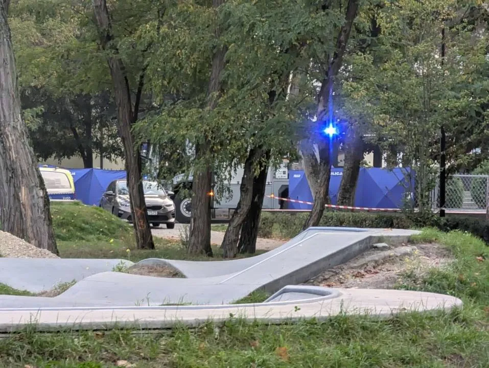 Zdjęcie 13
