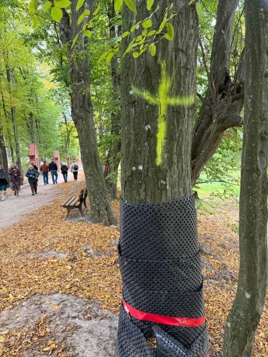 Sanktuarium Matki Bożej Gietrzwałdzkiej